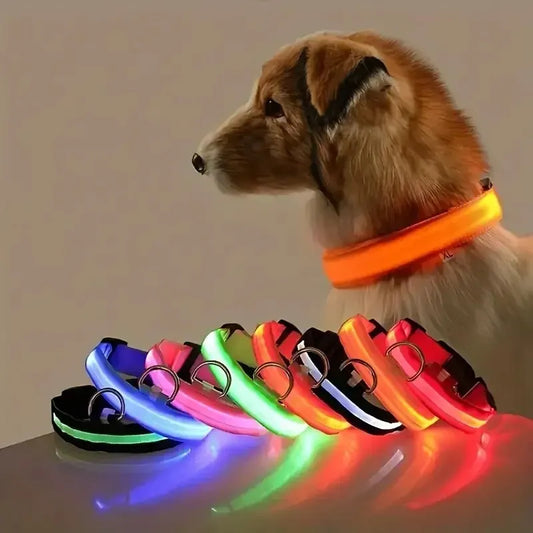 SafeDog